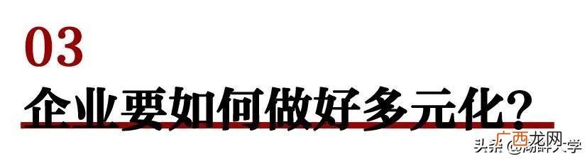 创业计划书执行总结不包括 创业的本质在于发现并把握商业机会