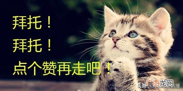 创业板股票好还是a股好,怎么看是创业板还是a股