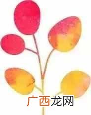 客户经理是做什么的（优秀客户经理必备的几种