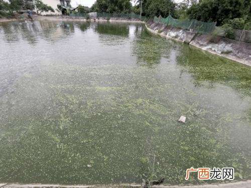 养殖水质 养殖水体 水面