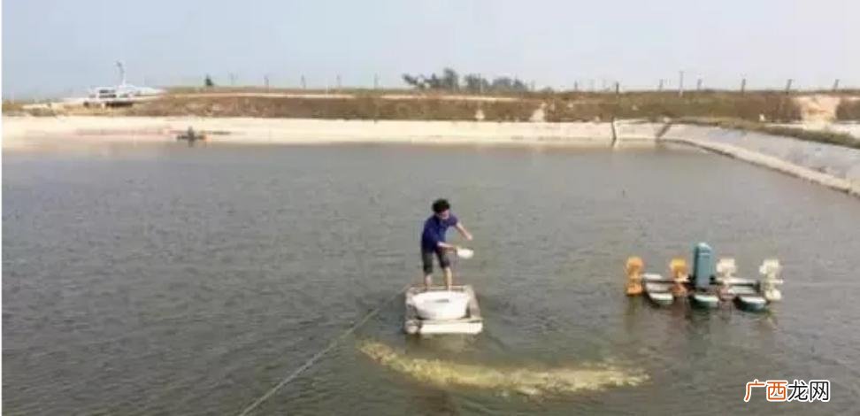 养殖 养殖水体解毒用什么药