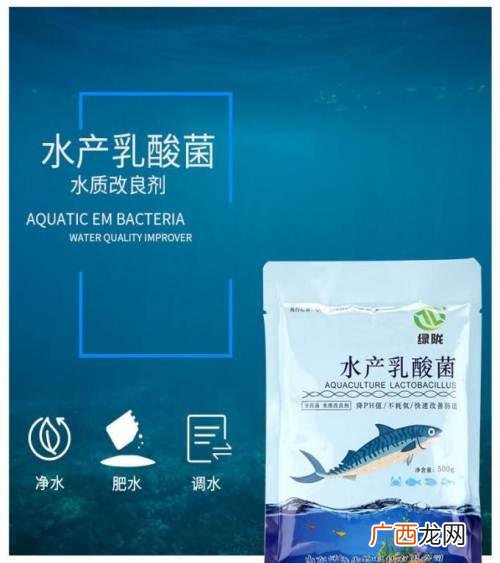 养殖 养殖水体解毒用什么药