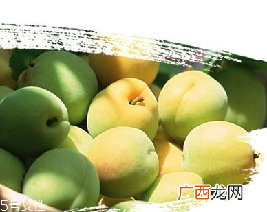 青梅丸的功效与作用青梅丸能治什么病？