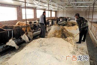 通辽双舟辣嘴鸭官网 辣嘴鸭总部电话