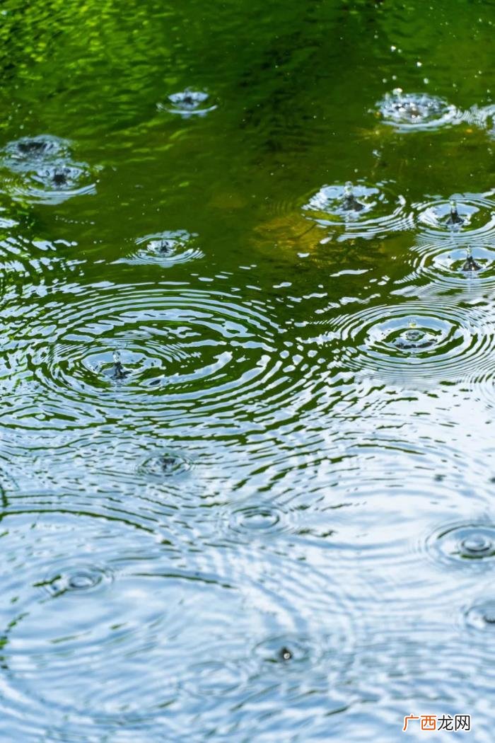 诗词｜雨天发朋友圈 下雨了想发个朋友圈