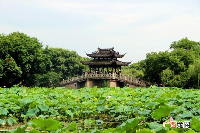 诗词｜雨天发朋友圈 下雨了想发个朋友圈