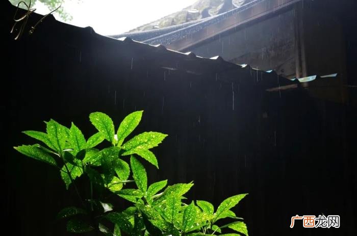 诗词｜雨天发朋友圈 下雨了想发个朋友圈