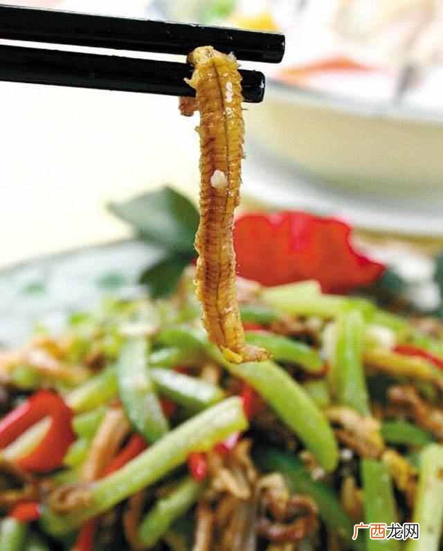 真的是重口味 为什么会说广东人什么都吃