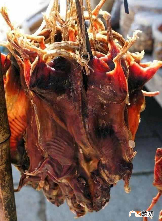 真的是重口味 为什么会说广东人什么都吃