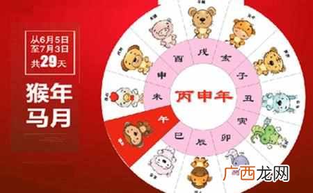 猴年马月是什么意思（猴年马月是说的什么时候