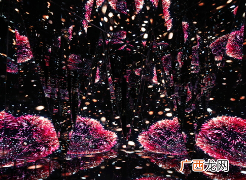 海蓝之谜鎏金焕颜精华眼霜多少钱？好用吗？