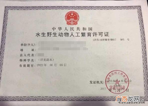 现在搞养殖需要办什么手续,家庭养殖场需要什么手续