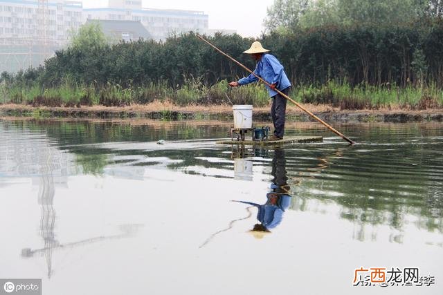 现在搞养殖需要办什么手续,家庭养殖场需要什么手续