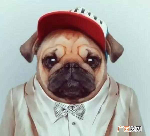 金瓶梅为什么会成为禁书 金瓶梅是什么