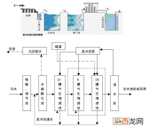养殖池如何设计排污管 养殖塘如何排污