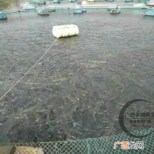 深海养殖网箱 养殖网箱鱼