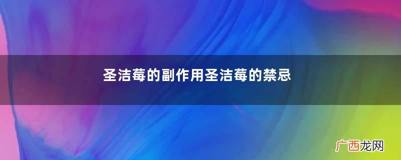圣洁莓的副作用圣洁莓的禁忌