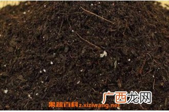 花土怎么配 最简单的多肉植物配土方法
