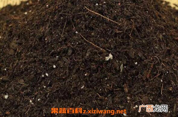花土怎么配 最简单的多肉植物配土方法