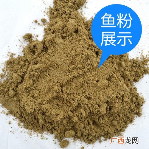 鱼粉怎么加工 鱼粉养殖方法