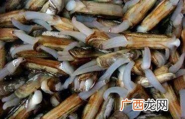 鱼粉怎么加工 鱼粉养殖方法