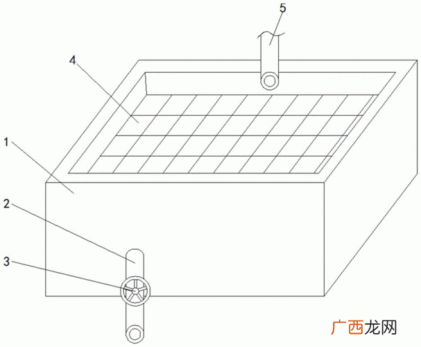 蛤蟆广 袁正洋蛤蟆养殖