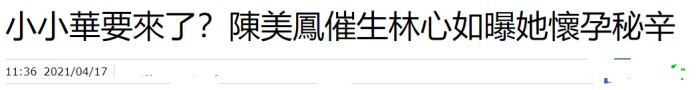 林心如生了二胎了吗，45岁林心如有意生二胎