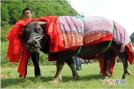 祭祀的意义是什么 祭祀是什么意思