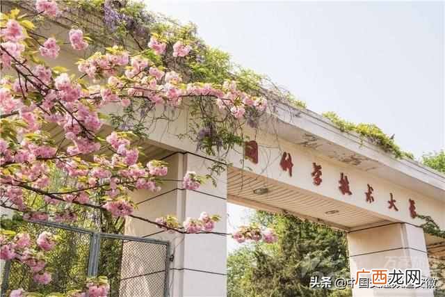樱花开花的季节是什么时候 樱花什么时候开