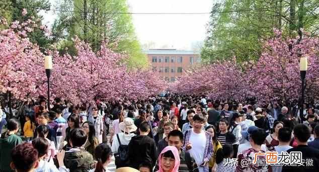 樱花开花的季节是什么时候 樱花什么时候开