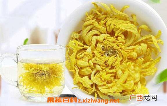 金丝皇菊的功效与作用 金丝皇菊的食用方法