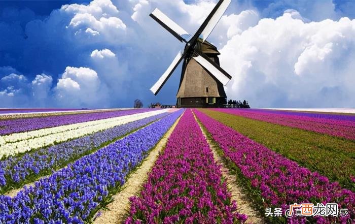 重新追回死心的女朋友，如何挽回一个死心的女朋友