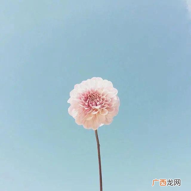 送给自己八个字,为生活努力奋斗的句子