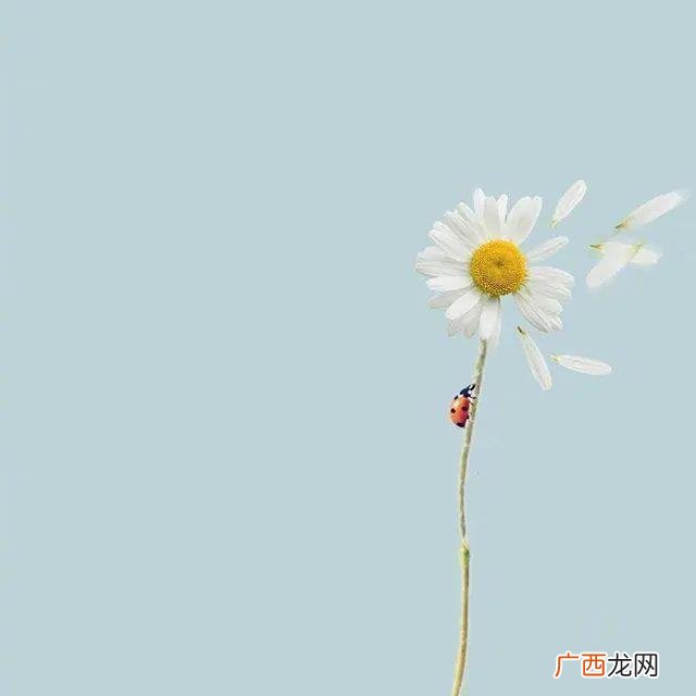 送给自己八个字,为生活努力奋斗的句子