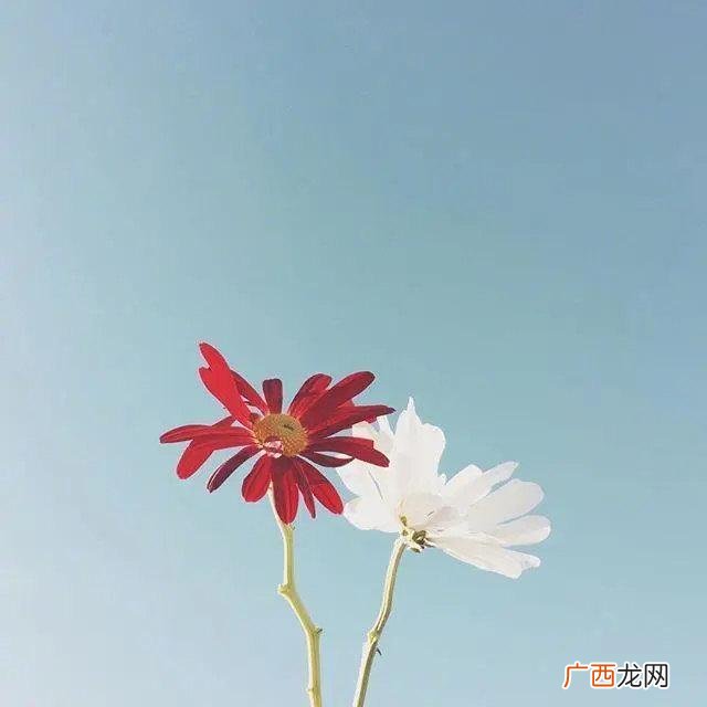 送给自己八个字,为生活努力奋斗的句子