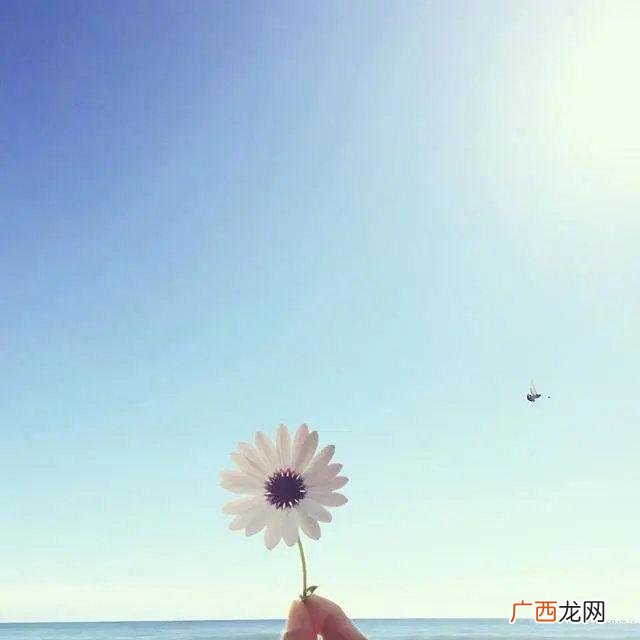 送给自己八个字,为生活努力奋斗的句子