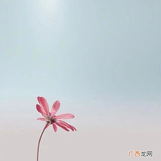 送给自己八个字,为生活努力奋斗的句子