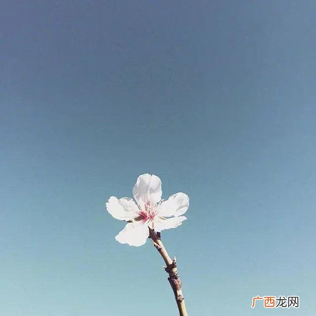 送给自己八个字,为生活努力奋斗的句子