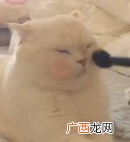 各自优缺点介绍 粉底液和b b 霜有什么不同