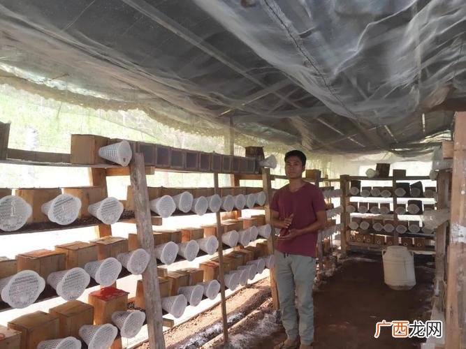 云南最适合创业的城市 云南养殖什么适合创业项目
