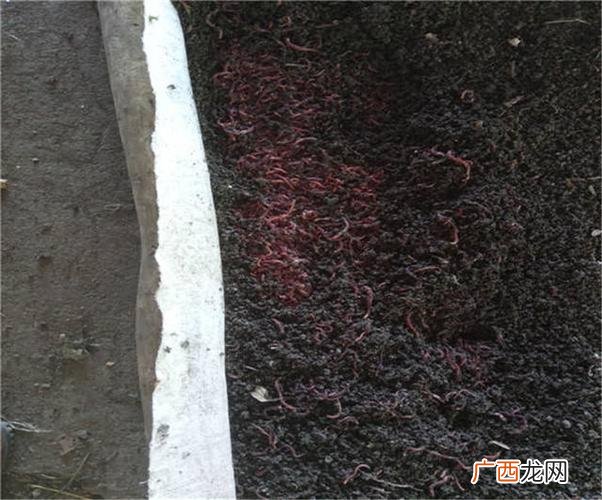 管子重量计算公式 怎样计算养殖网床重量