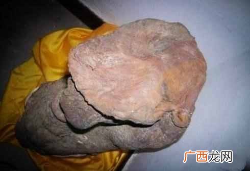 太岁有什么作用 太岁是什么东西
