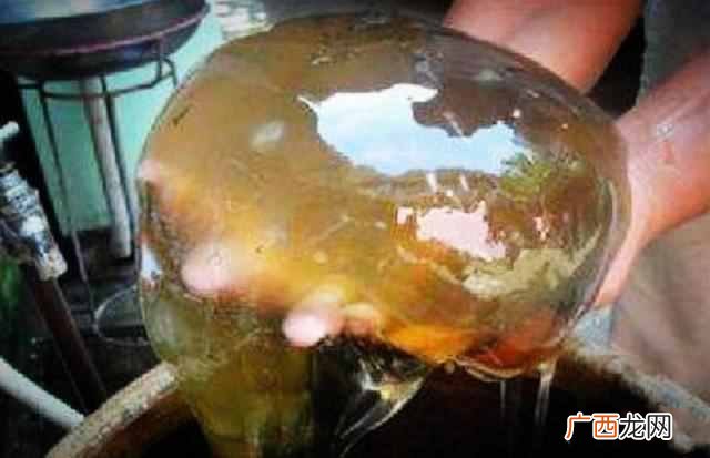 太岁有什么作用 太岁是什么东西