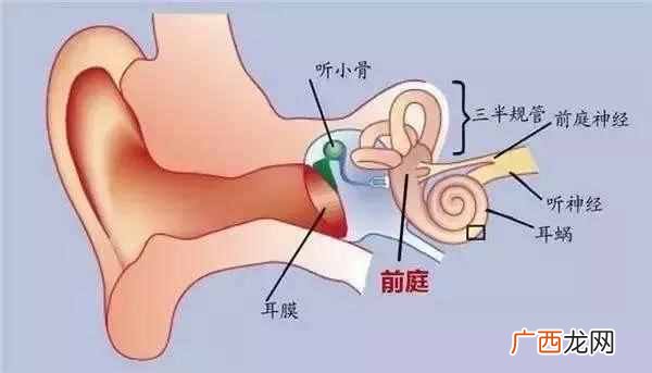 如何才能不晕车 人为什么会晕车