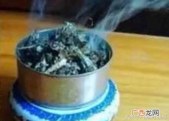 这几招可以对付蚊子 蚊子怕什么植物和颜色