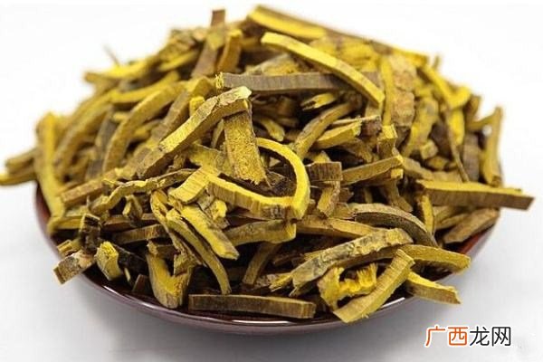 黄柏主治疾病有哪些黄柏的生理特性