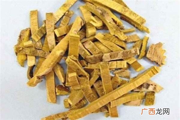 黄柏主治疾病有哪些黄柏的生理特性