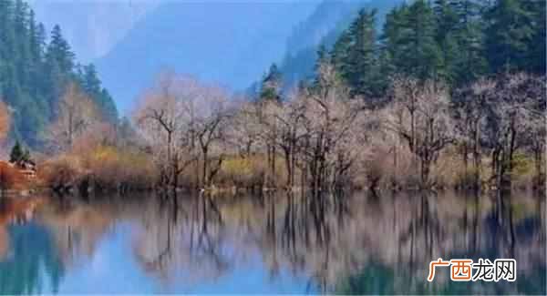 四川九寨沟什么时候去最合适(这个季节去最好