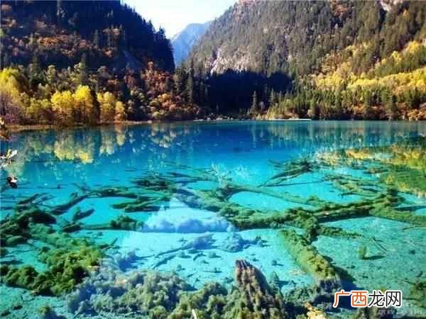 四川九寨沟什么时候去最合适(这个季节去最好