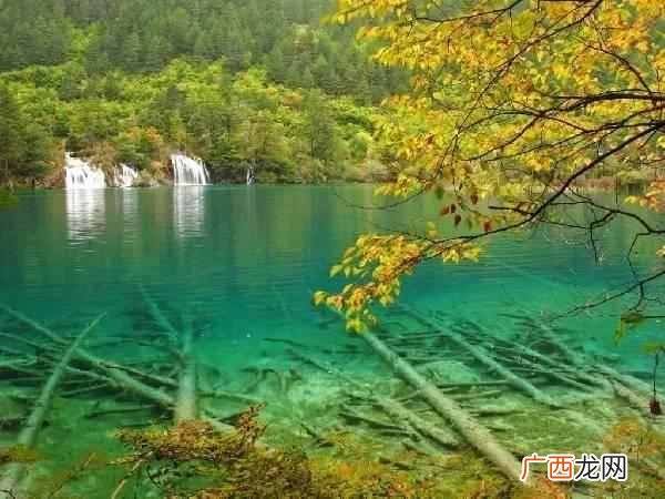 四川九寨沟什么时候去最合适(这个季节去最好